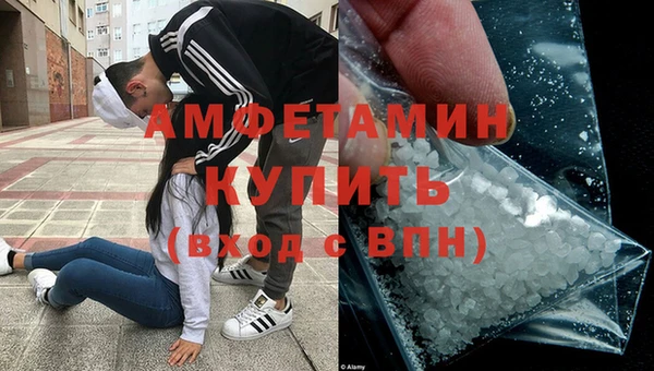 амф Горняк
