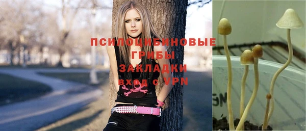 стафф Горно-Алтайск