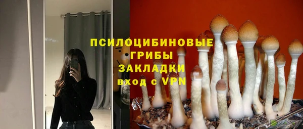 стафф Горно-Алтайск