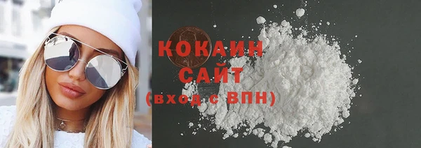 амф Горняк