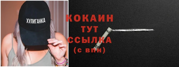 амф Горняк