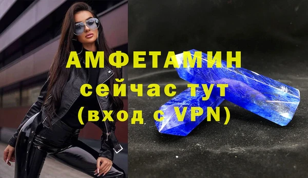 амф Горняк