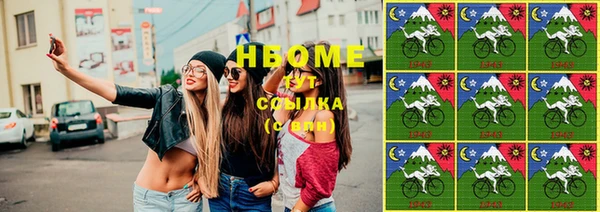 амф Горняк