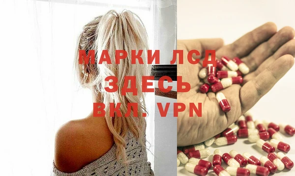 амф Горняк