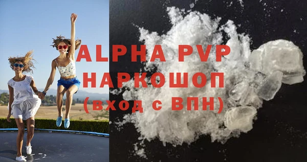 амф Горняк